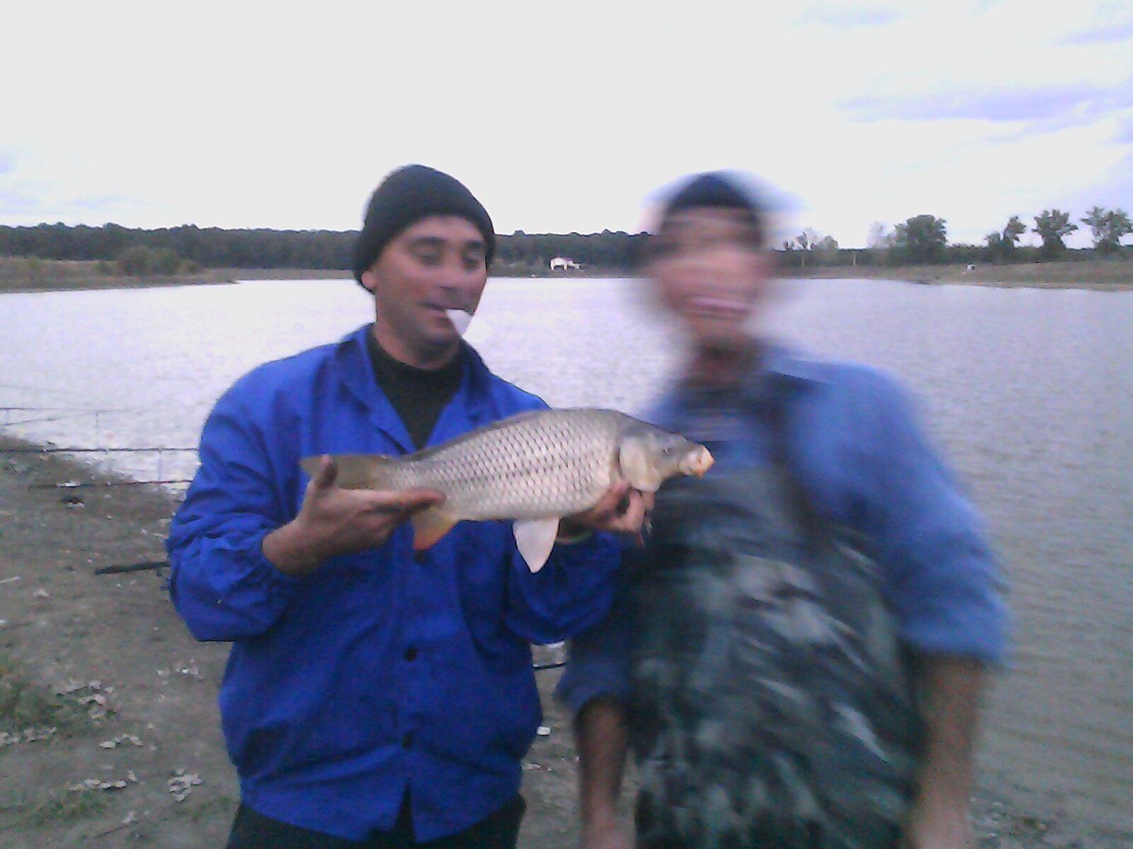 Crevedia - 130922-1917001.jpg